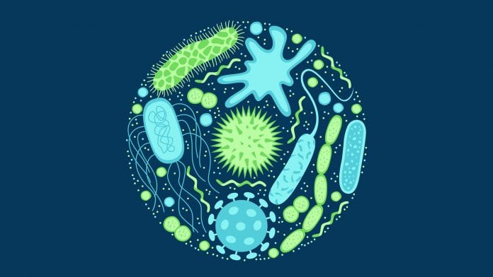Antimicrobial Resistance - A Global Public Health Threat - HealthTrackRx