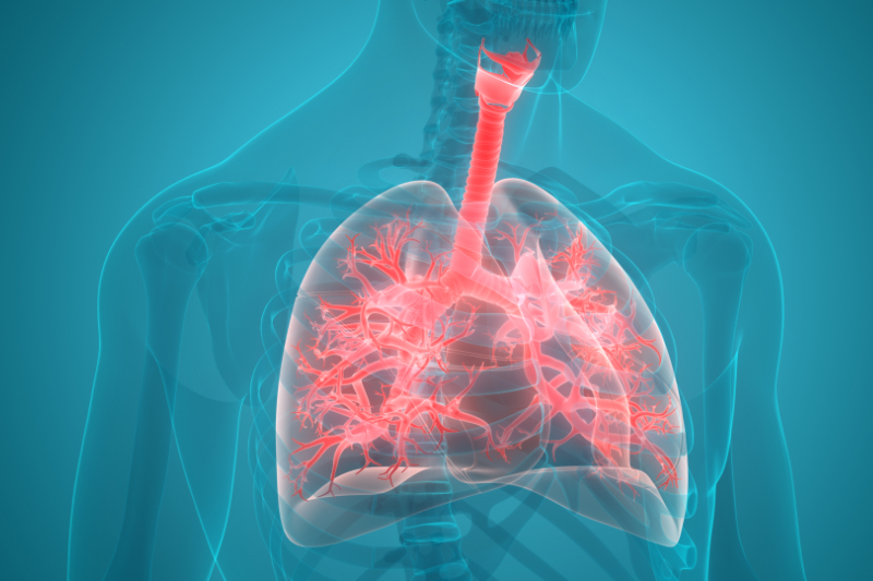 High-Accuracy PCR Testing for Respiratory Viruses