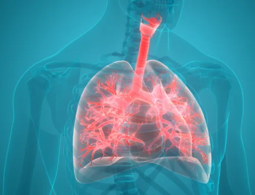 High-Accuracy PCR Testing for Respiratory Viruses