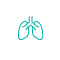 Respiratory Tract Icon